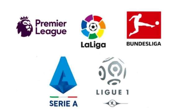 们给予了显 们给予了显